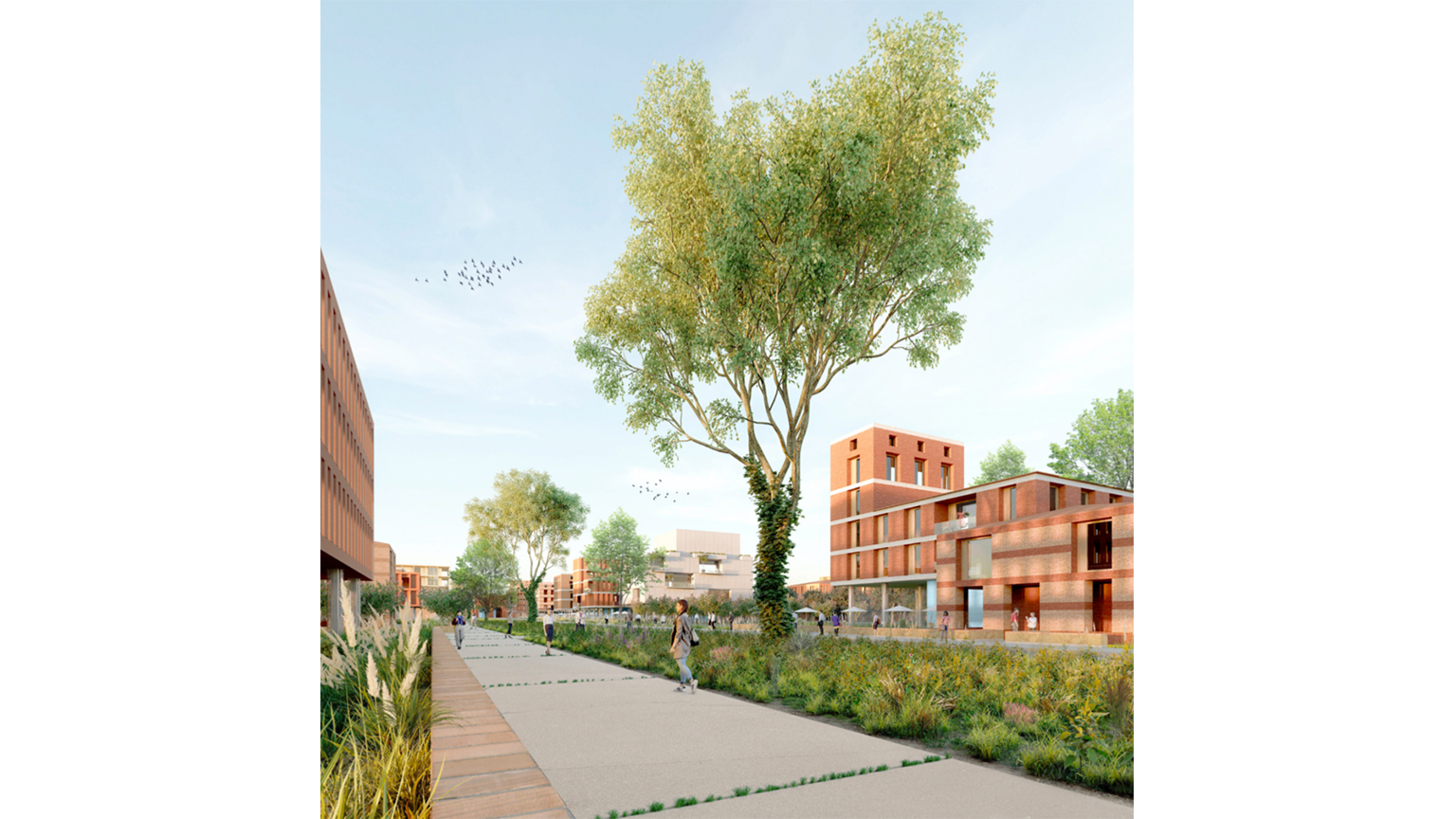 ZAC du Quartier Durable Lauragais-Tolosan
