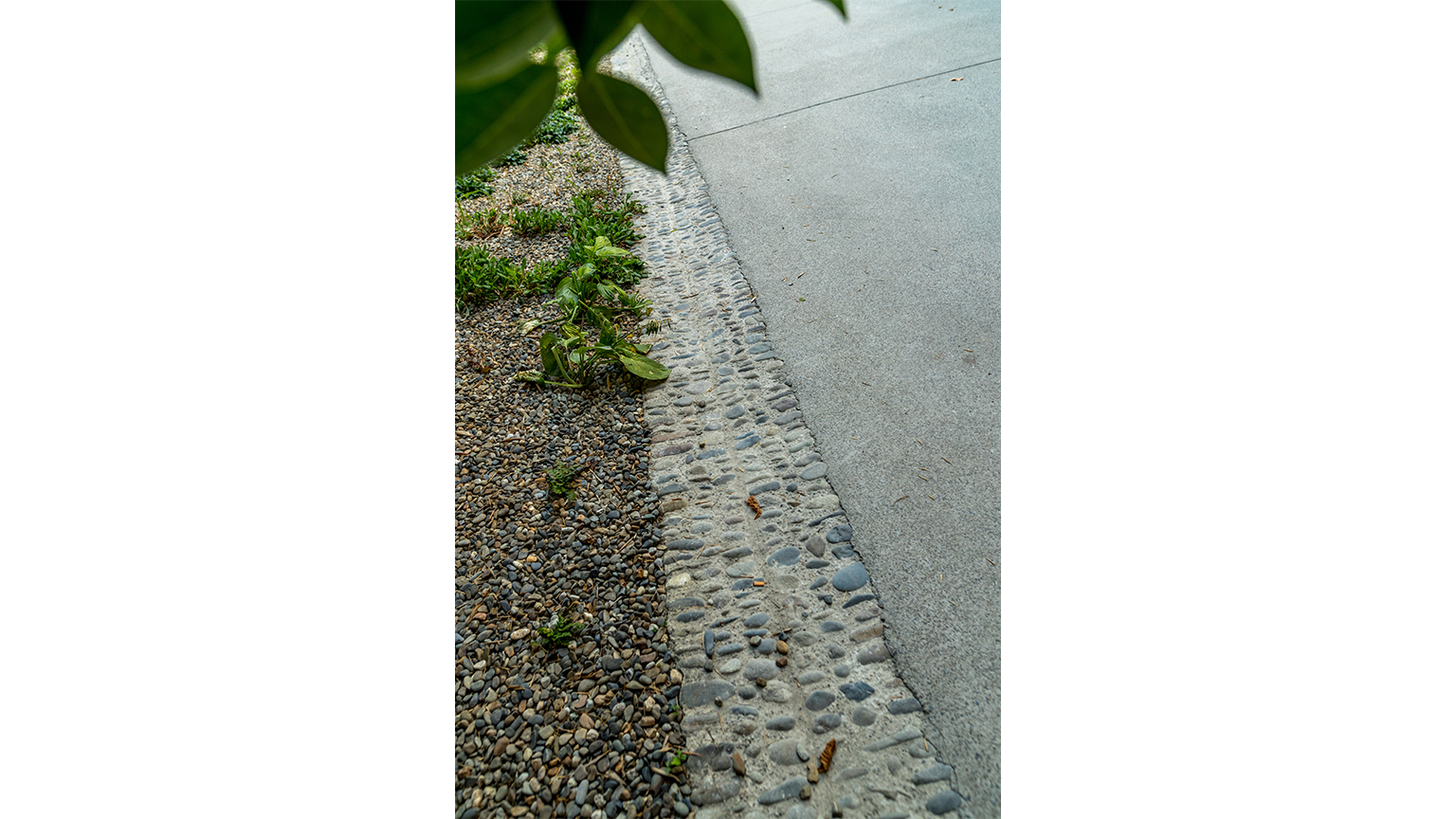La rue du Hédas, le jardin des senteurs de Pau