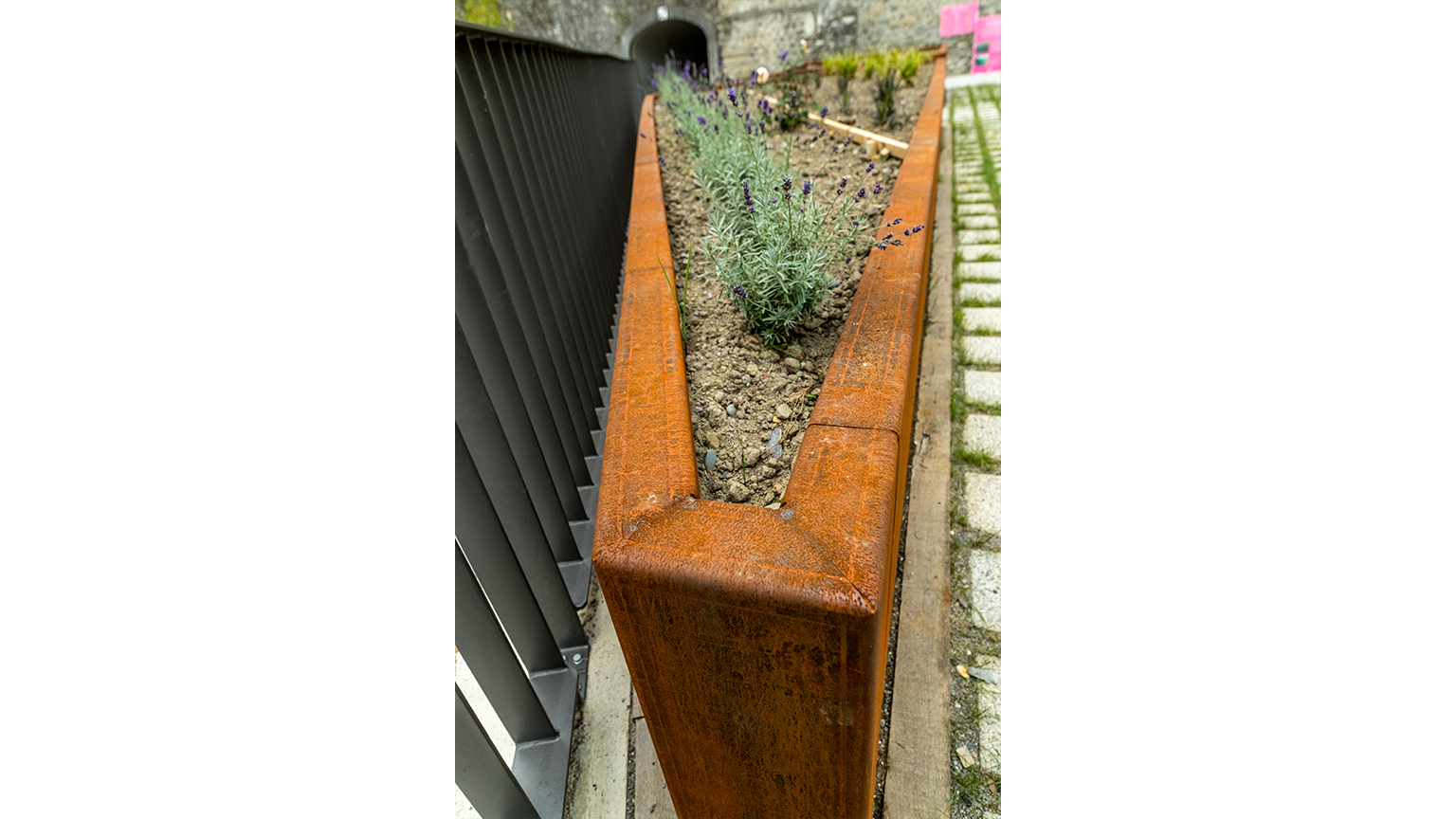 La rue du Hédas, le jardin des senteurs de Pau