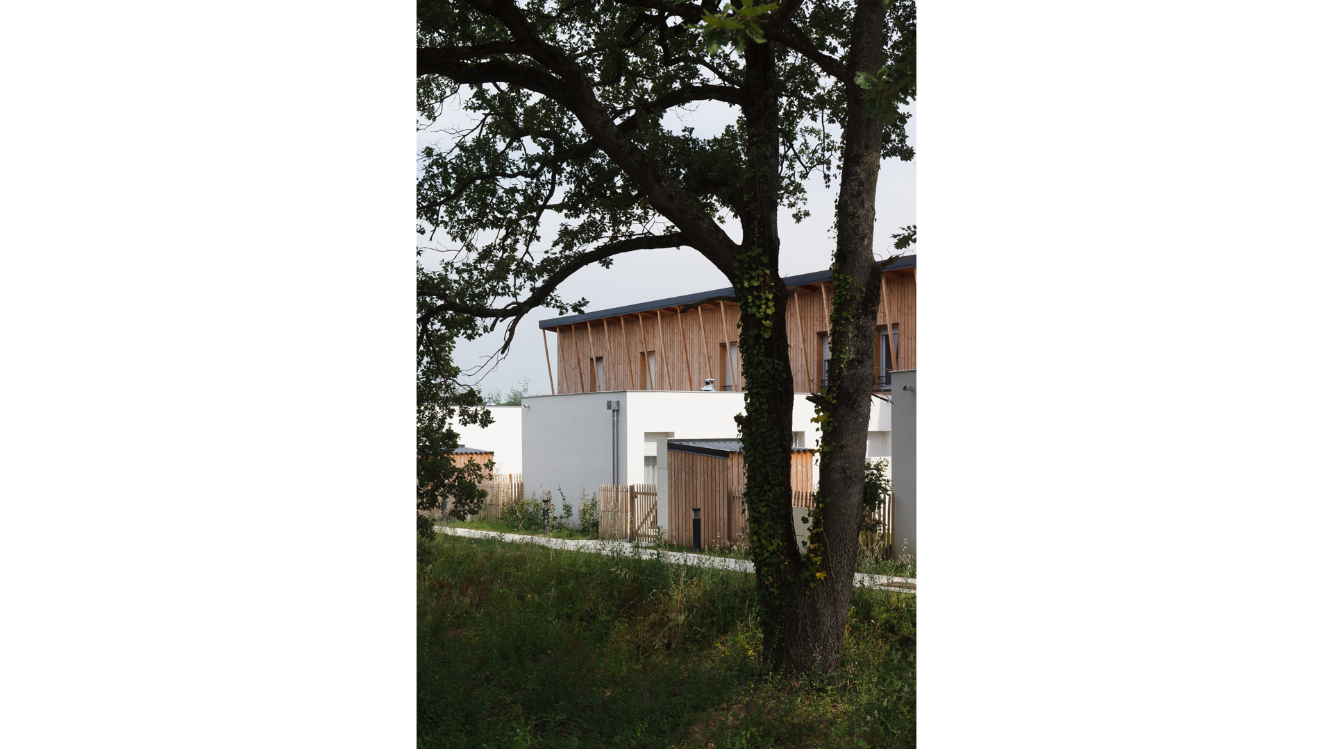 Logements de la ZAC Monges Croix-du-Sud