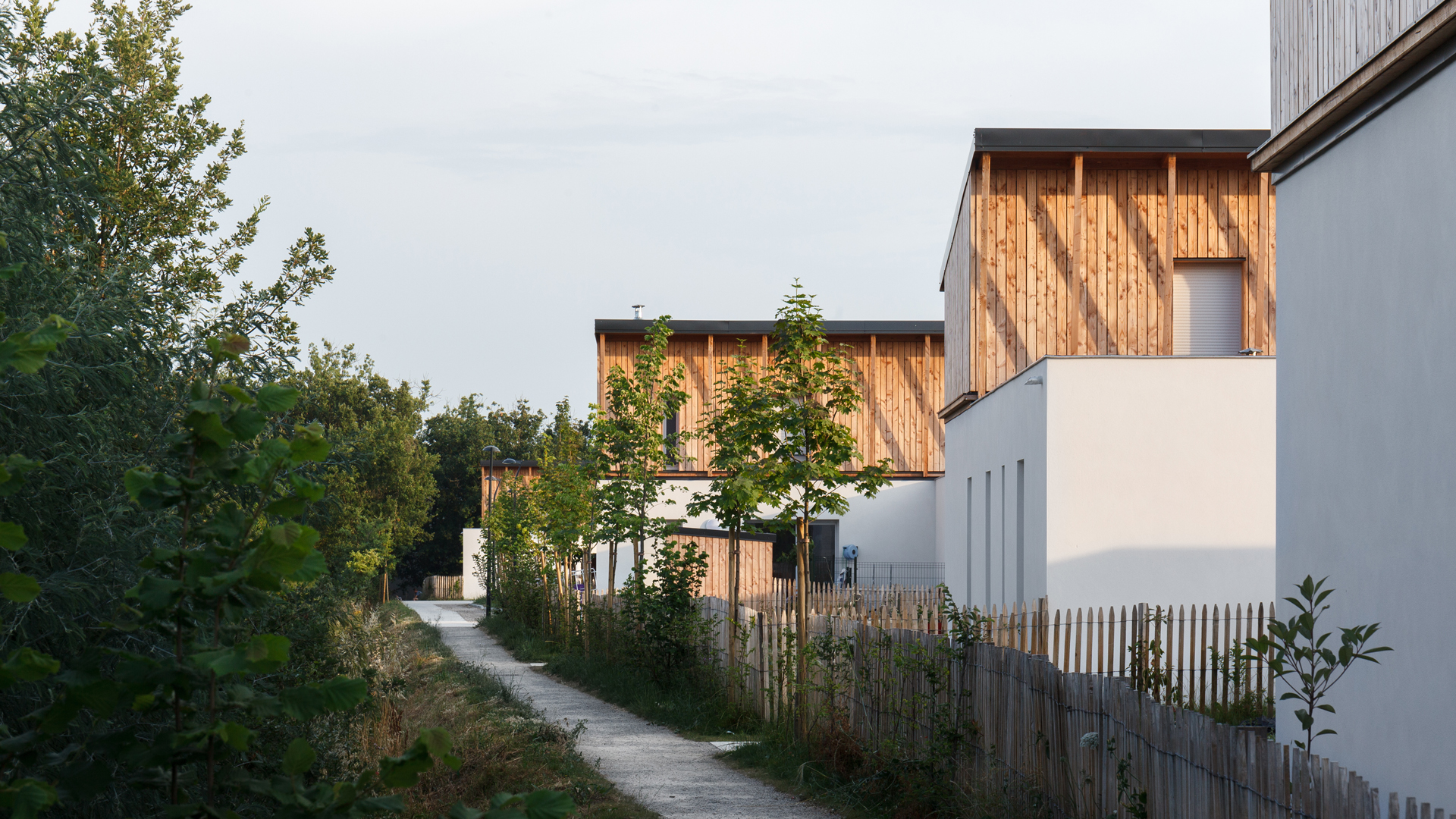 Logements de la ZAC Monges Croix-du-Sud