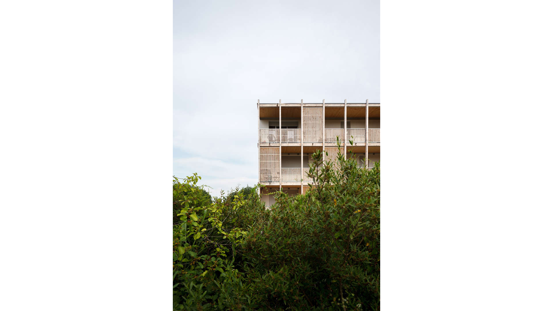 Logements de la ZAC Monges Croix-du-Sud