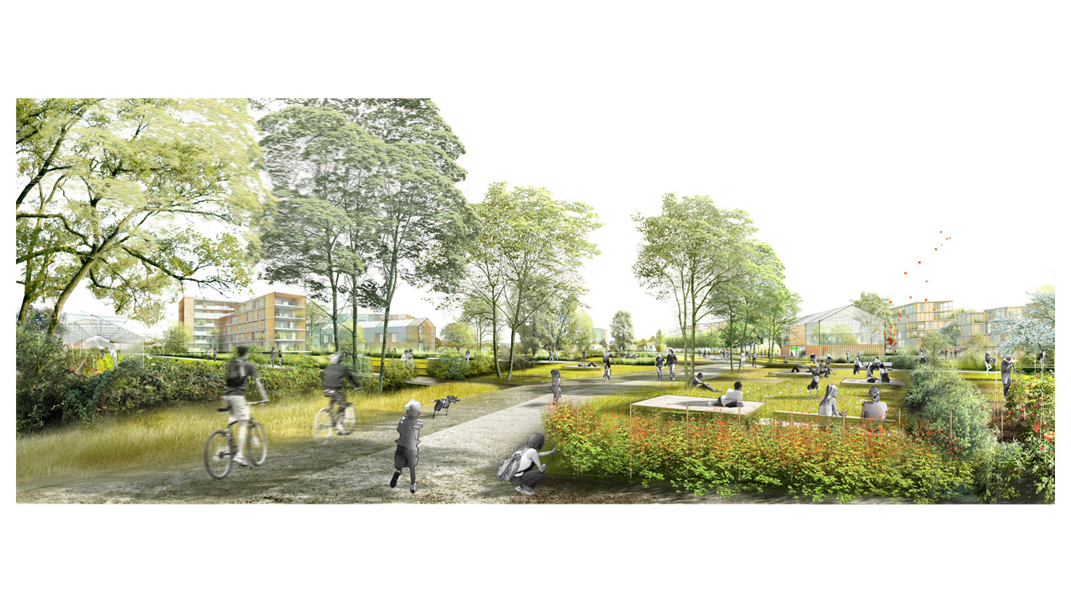 La requalification du quartier Trois-Cocus