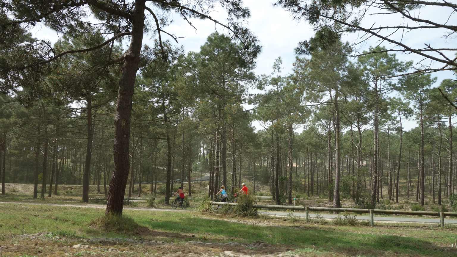 Risques d’érosion littorale : Petit-Bourg, Hyères et Lacanau