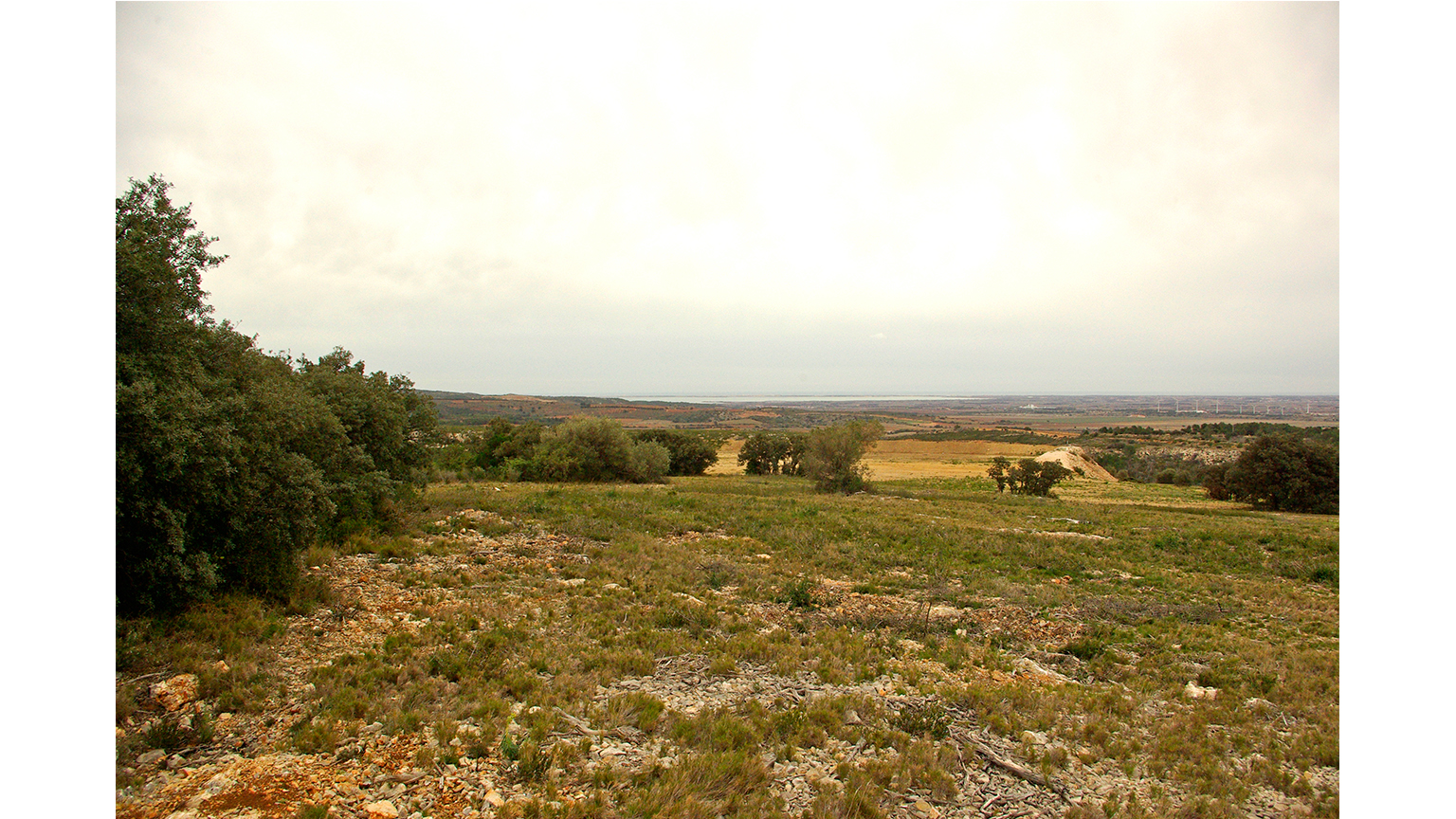 Assistance auprès de la DREAL Languedoc-Roussillon, Définir une stratégie d’aménagement pour le territoire de la Porte d’entrée Nord du département des PO et de l’agglomération de Perpignan