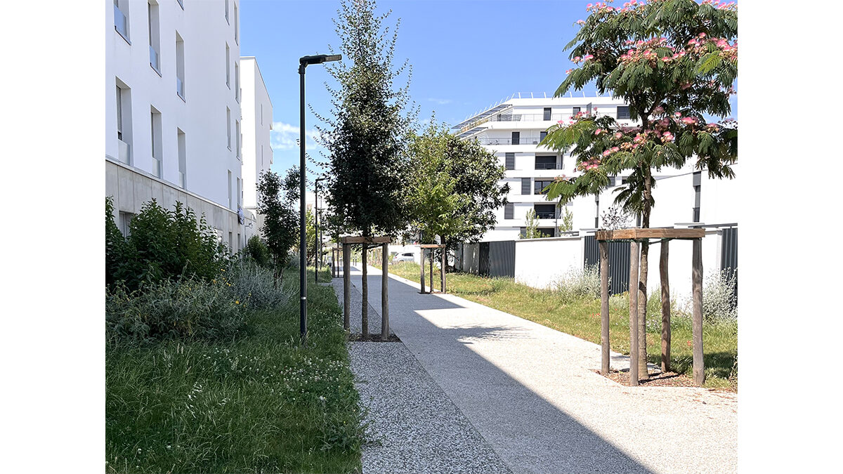 La Cité Blanche, quartier des Trois-Cocus