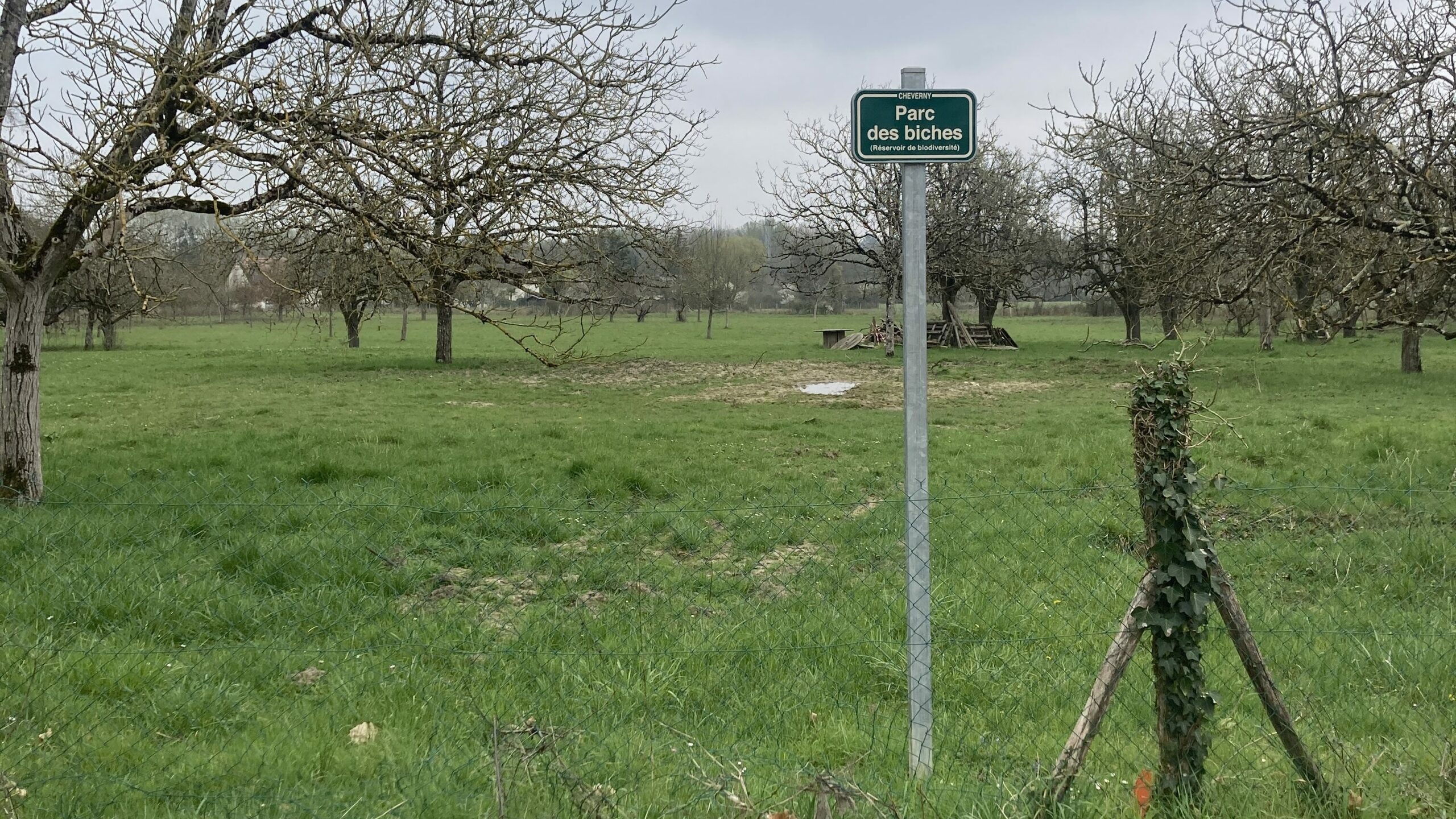Concours à Cheverny